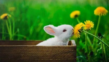 我想知道征途是怎么交易的...