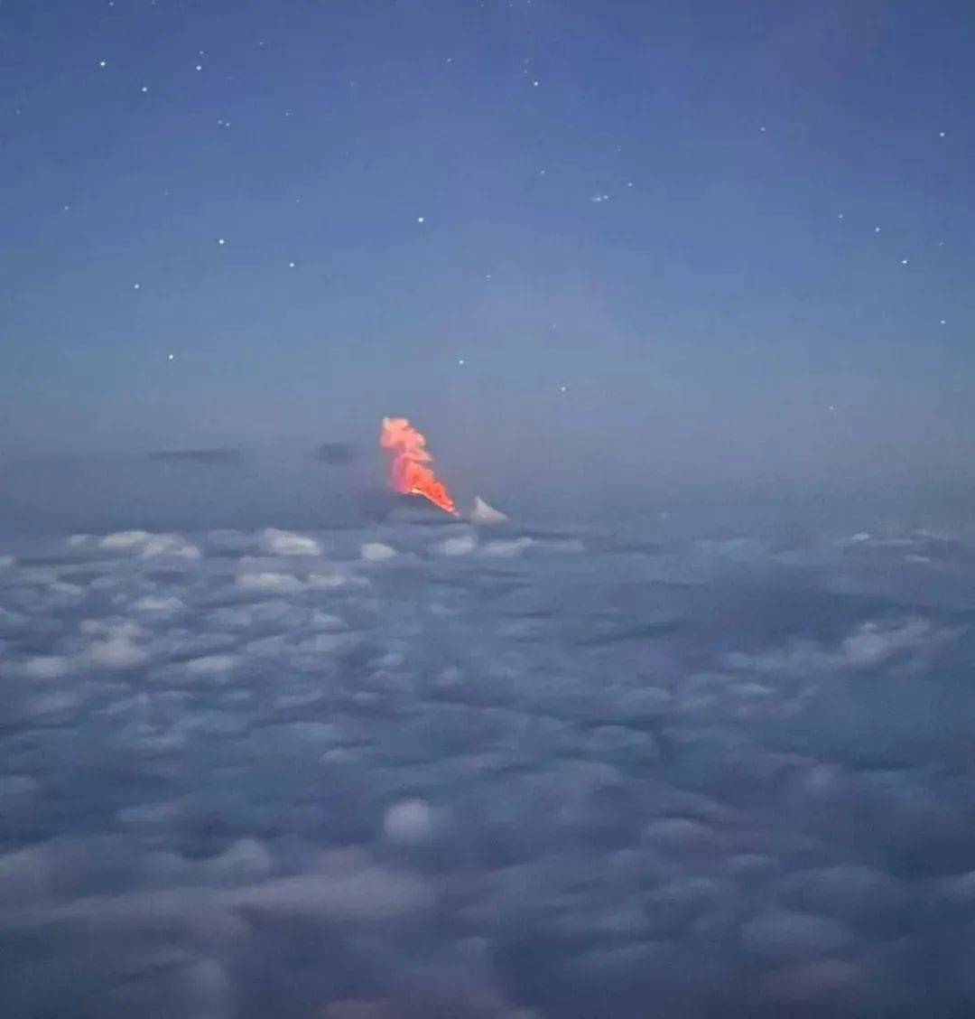 俄8.7级强震来袭瞬间：海狮跳入海中避险，岩石泥沙倾泻而下！震后一火山喷发