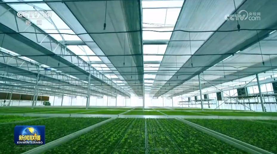 【习近平总书记今年以来治国理政纪实】坚持高质量发展 全面推进中国式现代化