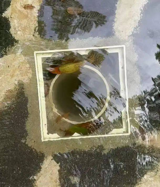 绝望14分钟!6岁女童被牢牢吸住身亡,妈妈在旁拼尽全力却救不回