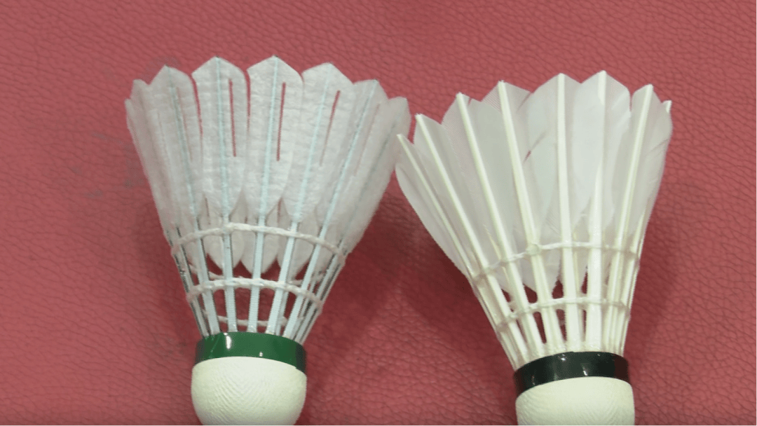 击穿眉骨、扎穿手指……这项球速达300km/h的人气运动暗藏风险！