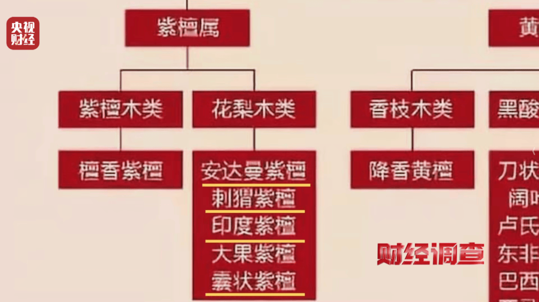 揭秘红木市场乱象：鉴定证书按斤卖一张0.8元，同款床报价差2.7万