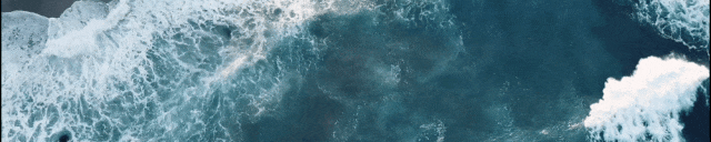 中年就业“避风港”:报告称超七成网约车司机系失业后转入