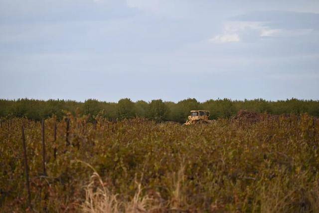 “这是我从业30年来最严峻的局面”