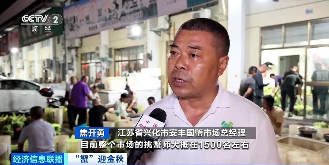 平均月收入约2万元！30年工作经验“金牌挑蟹师”如何选螃蟹？