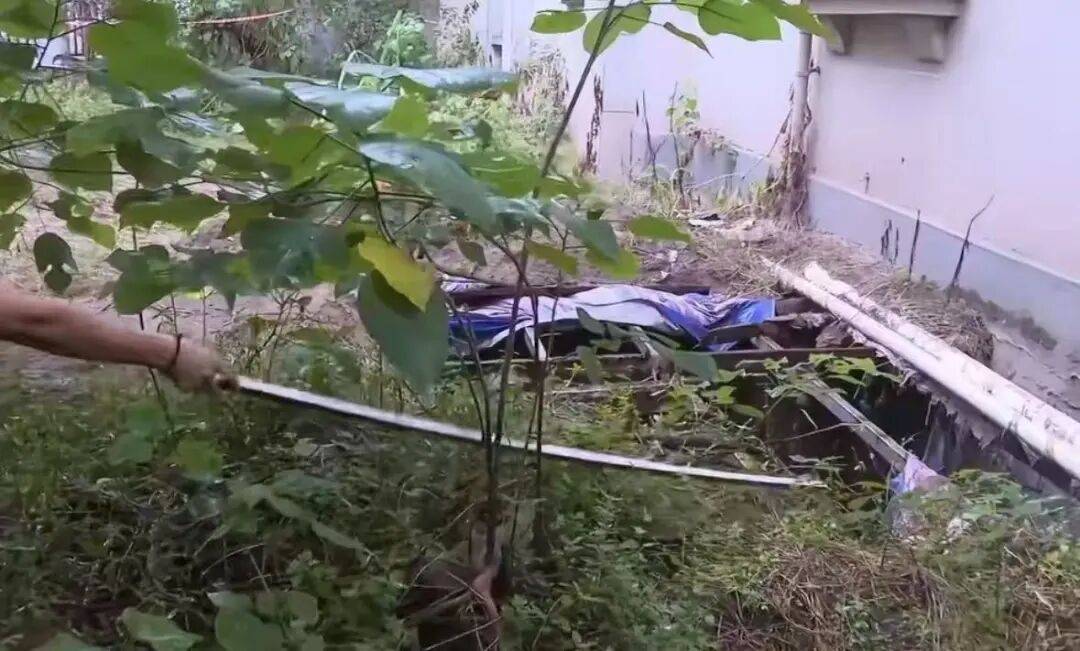重庆男子下楼捡鞋坠绿化带深坑身亡,小区内还有几个类似深坑,相关部门正调查处理