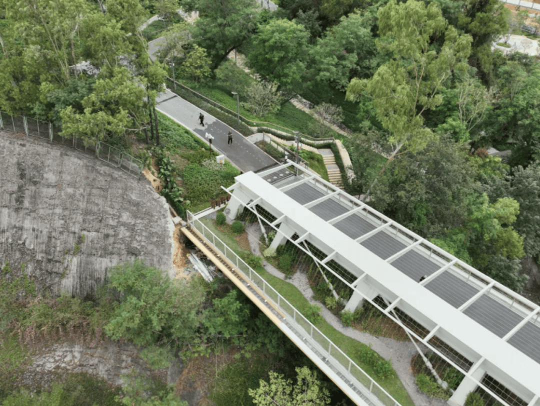 官宣！深圳山海连城又添两“新成员”，八大公园要“串”起来了