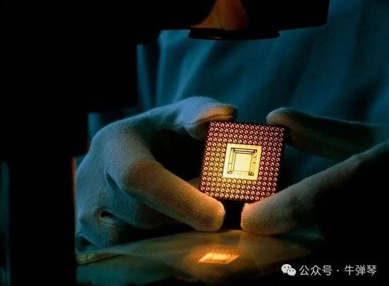 牛弹琴:荷兰人自己都看不下去了