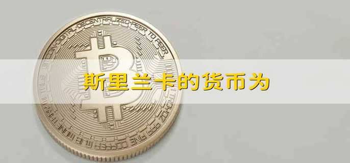 货币英语(货币英语怎么读)