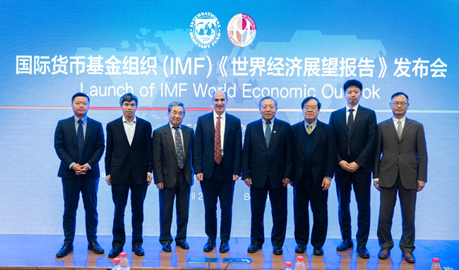 货币基金组织(imf国际货币基金组织)