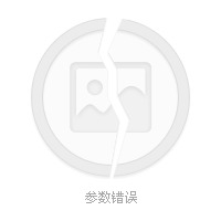 货币黄金(货币性黄金记录在国际收支平衡表的)