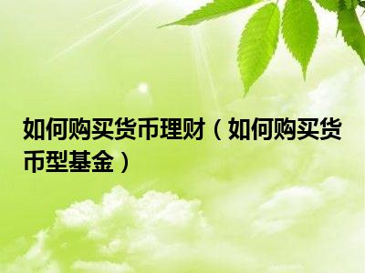 货币型(货币的种类与形式)