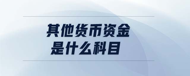 货币资金是(货币资金是负数)
