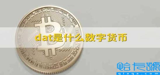 数字货币是啥(数字货币是怎么回事)