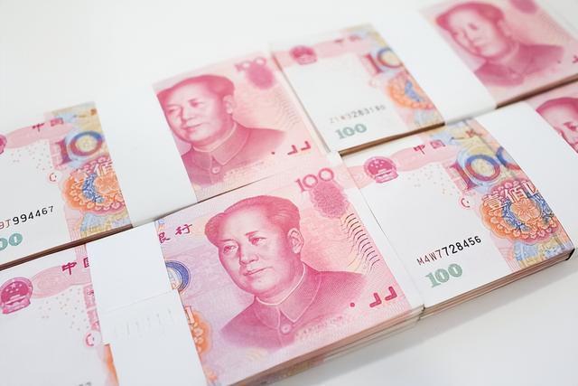 存款货币(存款货币银行)