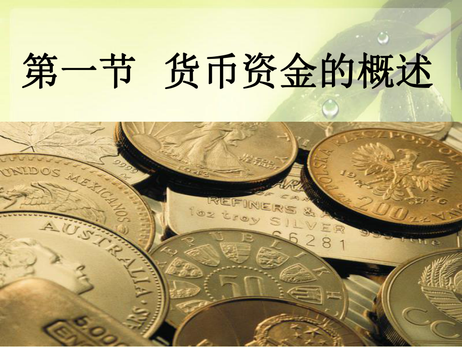 货币金(货币金融服务)