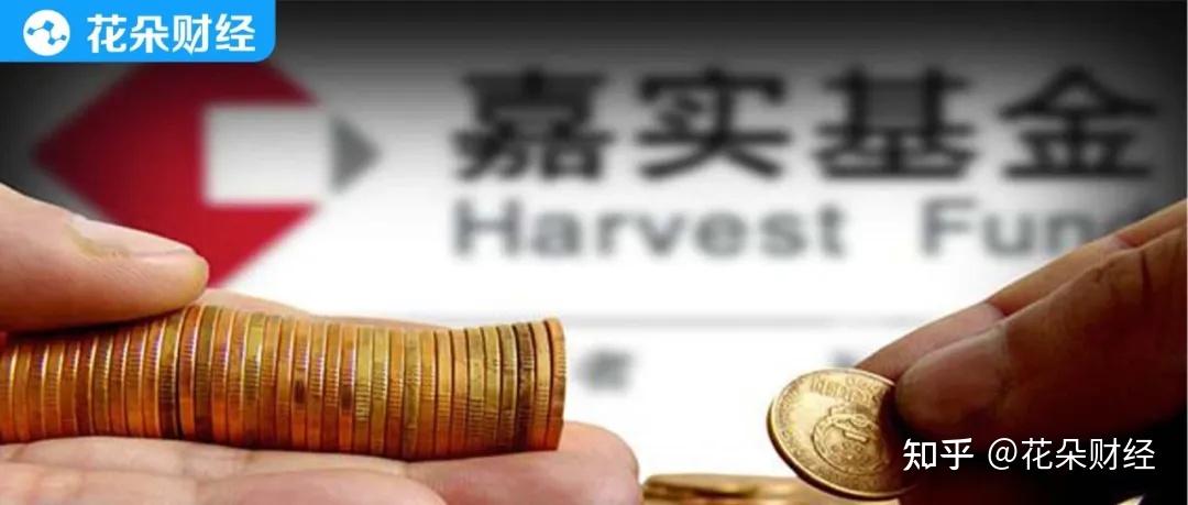 嘉实货币基金070008(嘉实货币基金070008历史净值)