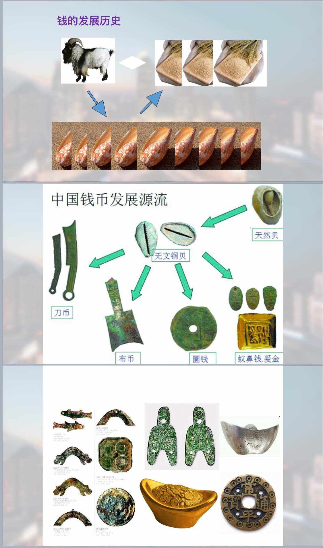 认识货币(认识货币活动反思)